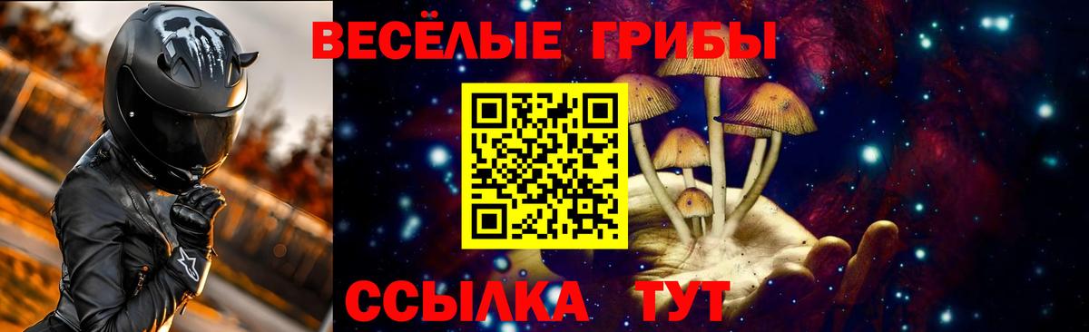 Галлюциногенные грибы мицелий  Вход с VPN  Галлюциногенные грибы GOLDEN TEACHER  как найти   Кулебаки 